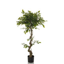 Planta artificial verde FICUS I con tallo retorcido en una maceta negra de hjh OFFICE