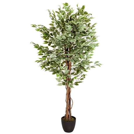 Planta artificial FICUS con hojas variegadas en verde y blanco en una maceta negra de hjh OFFICE