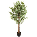 Planta artificial FICUS con hojas variegadas en verde y blanco en una maceta negra de hjh OFFICE