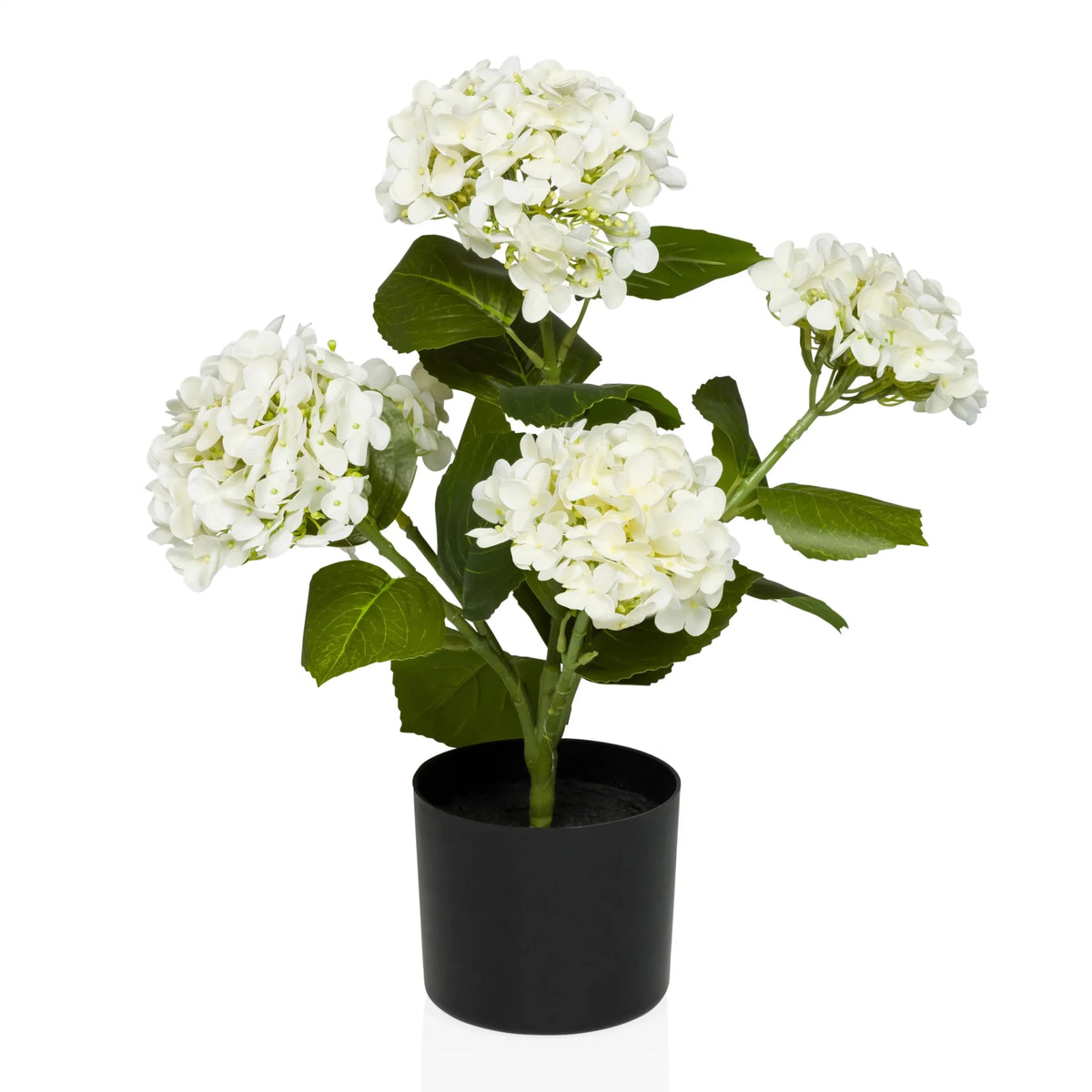 Planta artificial HYDRANGEA con flores blancas, hojas verdes y maceta negra de hjh OFFICE