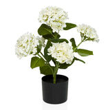 Planta artificial HYDRANGEA con flores blancas, hojas verdes y maceta negra de hjh OFFICE