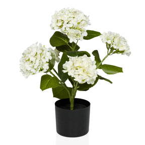 Planta artificial HYDRANGEA con flores blancas, hojas verdes y maceta negra de hjh OFFICE