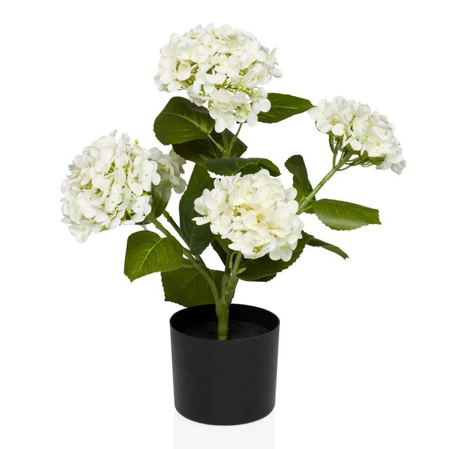 Planta artificial HYDRANGEA con flores blancas, hojas verdes y maceta negra de hjh OFFICE