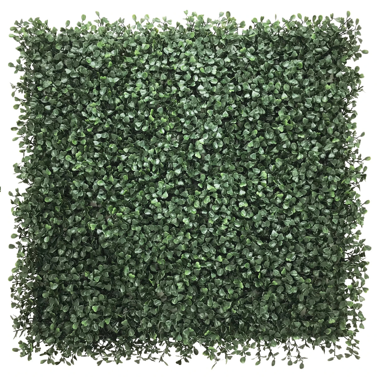 Estera vegetal verde LEAFLUXE 1 con hojas pequeñas y densas en forma cuadrada de hjh LIVING