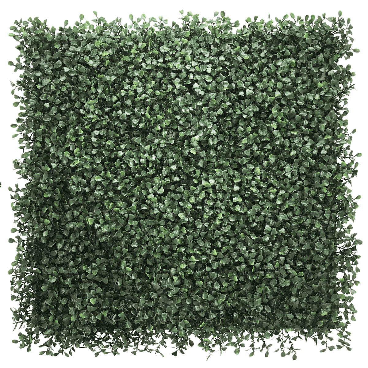 Estera vegetal verde LEAFLUXE 1 con hojas pequeñas y densas en forma cuadrada de hjh LIVING