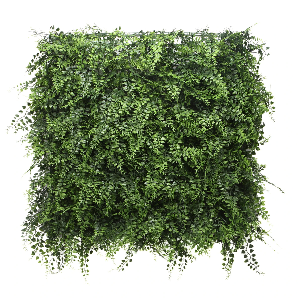 Estera vegetal verde LEAFLUXE 2 con hojas pequeñas y densas de hjh LIVING