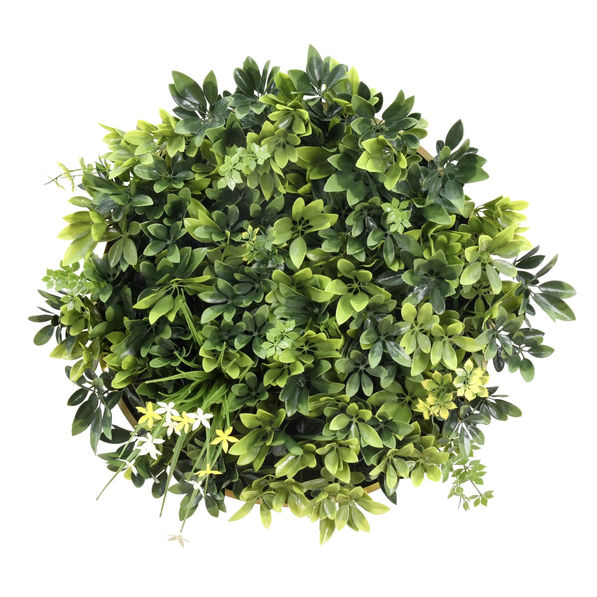 Estera vegetal verde LEAFLUXE WALL 2 con follaje denso y pequeñas flores blancas de hjh LIVING