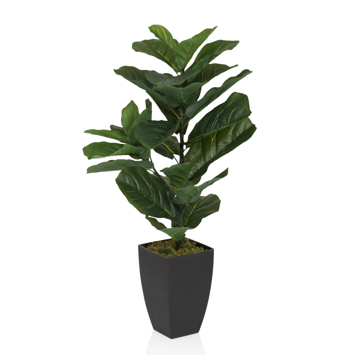 LYRATA - Planta artificial 