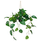 Planta artificial verde MONSTERA CLIMB como planta colgante con hojas perforadas de hjh OFFICE