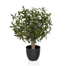 Planta artificial Olive S con hojas verdes en una maceta negra sencilla de hjh OFFICE