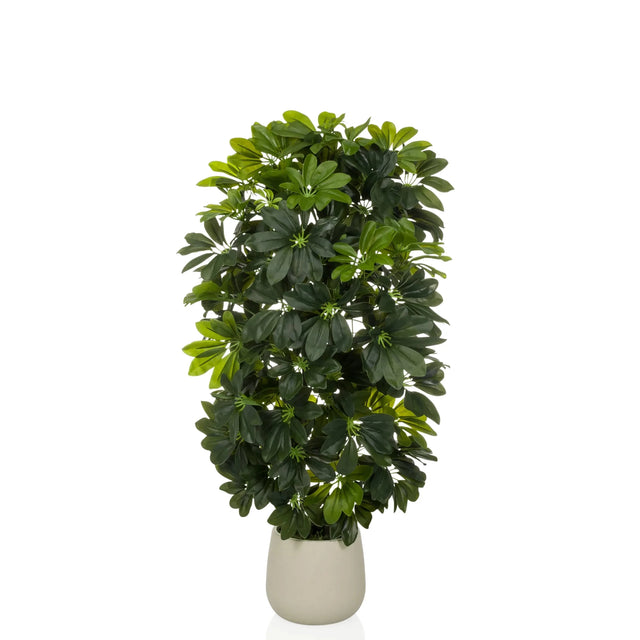 Planta artificial Schefflera 2 en verde con hojas densas en una maceta beige sencilla de hjh OFFICE