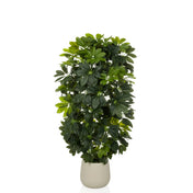 Schefflera 2 - Kunstpflanze - buerostuhl24