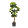 Planta artificial verde SCHEFFLERA con hojas brillantes en una maceta negra de hjh OFFICE