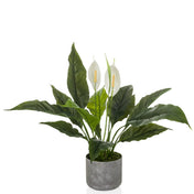 Planta artificial Spathiphyllum 1 con hojas verdes, dos flores blancas y maceta gris de hjh OFFICE