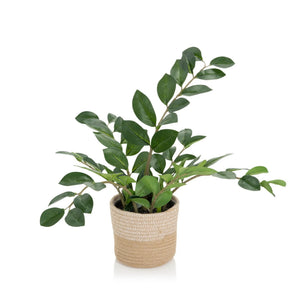 Planta artificial ZAMIE en color verde con un macetero exterior trenzado de material natural de hjh OFFICE