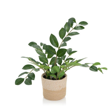 Planta artificial ZAMIE en color verde con un macetero exterior trenzado de material natural de hjh OFFICE